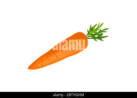 Légume de dessin animé frais isolé sur fond blanc. Illustration de Vecteur