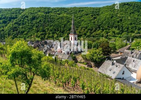 Weinberge und die katholische Pfarrkirche St. Martin im Ortsteil Ediger, Ediger-Eller, Rheinland-Pfalz, Deutschland | Vineyard et Saint Martin’s Cat Banque D'Images