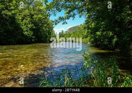 Verdure printanière et rivière Ariège traversant les Pyrénées, Ariège, Pyrénées françaises, France Banque D'Images