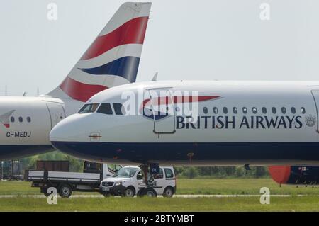 Glasgow, Écosse, Royaume-Uni. 28 mai 2020. Photo : les équipages terrestres de British Airways à l'aéroport international de Glasgow desservent la collection d'Airbus A319/A320/A321 mis à terre, qui sont dormants et sans vol, car les compagnies aériennes s'échargent de ce qu'il faut faire avec sa masse d'avions mis à terre dans leur flotte. Il y a des coûts fixes que BA doit respecter pour s'assurer que leurs avions sont en état de navigabilité. Pour survivre BA a déjà démis un quart de leur personnel. Crédit : Colin Fisher/Alay Live News Banque D'Images