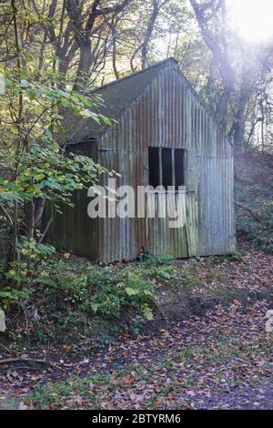 La lumière du soleil se présente au-dessus d'une ancienne cabane en étain dans les arbres d'un bois britannique au début de l'automne. Banque D'Images