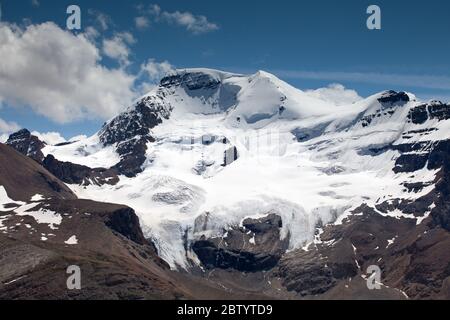 Mont Athabasca depuis Wilcox Ridge Banque D'Images