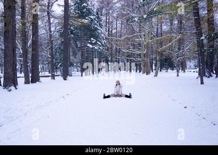 Le sanctuaire d'Hokkaido a été construit en 1869, entouré de montagnes sur 3 côtés, il joue un rôle important dans la vie des citoyens d'Hokkaido. Le sanctuaire riche en nature, Banque D'Images