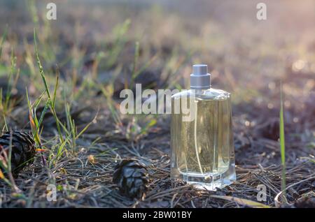 Une bouteille de parfum se tient sur le sol entre cônes et aiguilles. Bouteille rectangulaire en verre sur le sol dans la forêt du matin. Produits de parfumerie. Fermer Banque D'Images