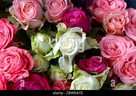Grand bouquet de roses de jardin blanc et rose est disposé dans une forme de bouquet et sont vus de dessus Banque D'Images