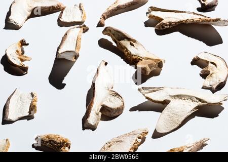 champignons séchés sur blanc. motif d'ombre dure. Banque D'Images