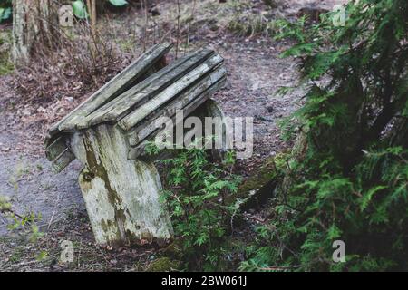 Ancien banc en bois abandonné dans la forêt. Planches cassées. Peinture écaillée. Teinté. Horizontale. Banque D'Images