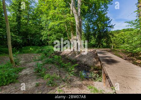 Simple passerelle piétonne au-dessus d'un ruisseau avec de l'eau propre dans la forêt entourée d'arbres et de végétation verte, jour ensoleillé à Kelmonderbos Beek, sud Banque D'Images