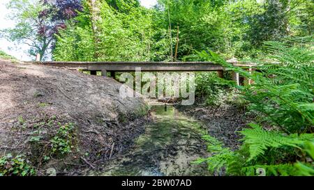 Passerelle piétonne au-dessus d'un ruisseau avec de l'eau propre entouré d'arbres et de végétation verte, jour ensoleillé à Kelmonderbos Beek, Limbourg Sud, pays-Bas Banque D'Images