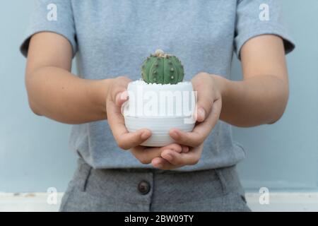 Vue rapprochée d'une femme étude et soin cactus sur table en bois dans la maison de culture cactus, Cactus pépinière Banque D'Images