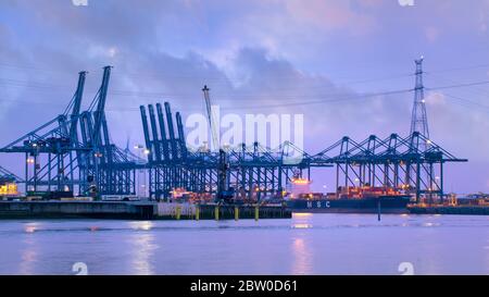 Terminal à conteneurs illuminée au crépuscule. Le port d'Anvers, en Flandre (Belgique), est le deuxième plus grand port maritime d'Europe. Banque D'Images