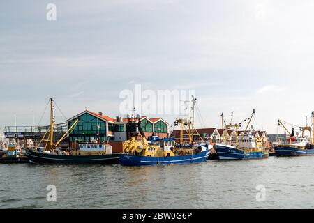 Urk pays-Bas Mai 2020, bateaux de pêche dans le port d'Urk se préparant à reprendre la pêche après l'épidémie de corona Covid 19 Banque D'Images