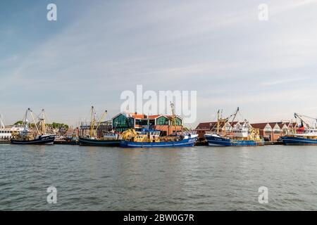 Urk pays-Bas Mai 2020, bateaux de pêche dans le port d'Urk se préparant à reprendre la pêche après l'épidémie de corona Covid 19 Banque D'Images