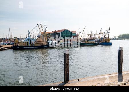 Urk pays-Bas Mai 2020, bateaux de pêche dans le port d'Urk se préparant à reprendre la pêche après l'épidémie de corona Covid 19 Banque D'Images