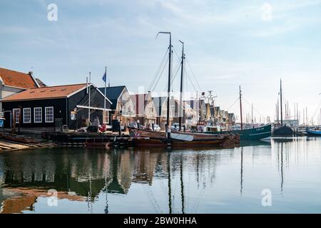 Urk pays-Bas Mai 2020, bateaux de pêche dans le port d'Urk se préparant à reprendre la pêche après l'épidémie de corona Covid 19 Banque D'Images