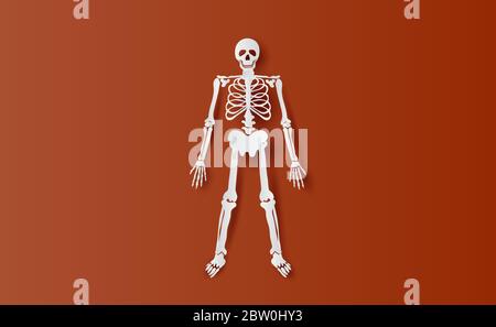 Halloween caractères de squelette simple os.icon sur fond brun isoler.papier créatif couper et artisanat lieu minimal scène pour votre texte.Biologie b Illustration de Vecteur