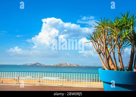 Paysage pittoresque avec de petits palmiers dans des pots colorés et vue sur la plage de la ville le long de la baie de Marseille. France Banque D'Images