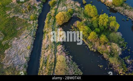 Belle vue aérienne sur les petites rivières rurales et les arbres de forêt d'en haut, paysage d'eau d'été dans la lumière du coucher du soleil Banque D'Images