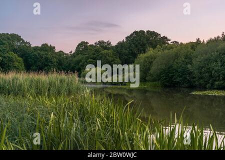Lever du soleil / lever du soleil sur le lac ornemental au Common au printemps, Southampton, Hampshire, Angleterre, Royaume-Uni Banque D'Images