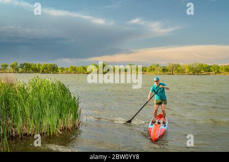 pagayer masculin senior et sportif se tenir debout sur un lac venteux avec des roseaux verts, pagayer seul pour se mettre en forme et s'entraîner avec une distancine sociale Banque D'Images