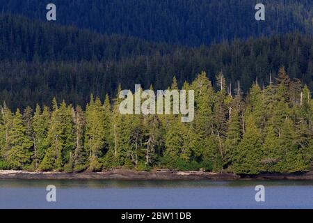Île Kuiu, Frederick Sound, sud-est de l'Alaska, États-Unis Banque D'Images