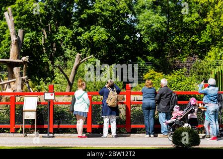 Berlin, Allemagne. 28 mai 2020. Les visiteurs sont vus au Pavillon Panda du zoo de Berlin à Berlin, capitale de l'Allemagne, le 28 mai 2020. Le zoo de Berlin a rouvert ses portes au public le 28 avril après une fermeture de plus d'un mois en raison de la COVID-19. Les pandas géants 'eng Meng', 'Jiao Qing' de Chine et leurs deux petits 'eng Xiang', 'eng Yuan' ont attiré de nombreux visiteurs, bien que des restrictions soient encore imposées dans le zoo. Crédit: Binh Truong/Xinhua/Alay Live News Banque D'Images