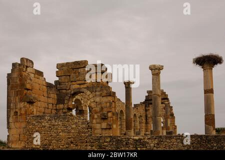 Ruines romaines de Volubilis, ville berbère en partie excavée près de Meknes, site classé au patrimoine mondial de l'UNESCO Banque D'Images