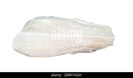 Filet de poisson de dolly frais, coupé en tranches, isolé sur fond blanc. Banque D'Images