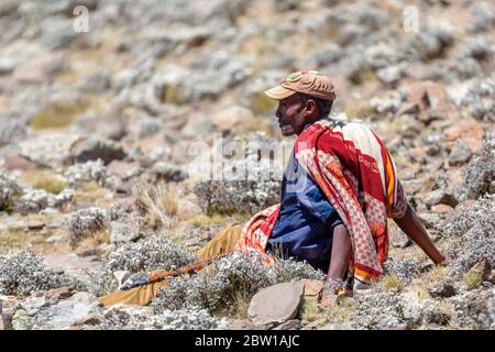 MONTAGNE SIMIEN, ETHIOPIE, 24 AVRIL 2019, scout de parc non identifié avec son fusil dans le parc national de montagne Simien. Travailler comme garde est l'un des rares Banque D'Images