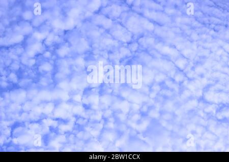 Les nuages gris et blancs ressemblent à de la laine de mouton ou à des vagues. Banque D'Images