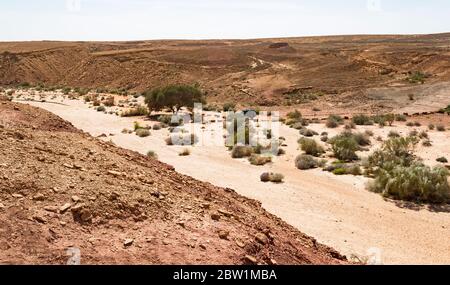 aire de pique-nique sous un acacia dans l'oudi ardon entouré par la végétation typique et les collines calcaires rouges du cratère de maktesh ramon en israël Banque D'Images