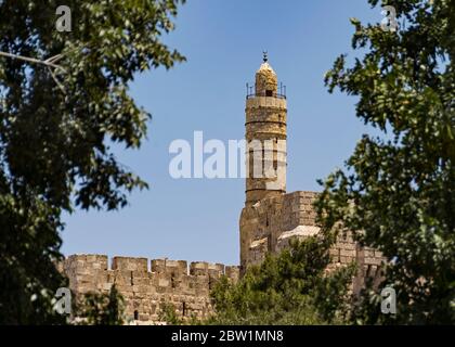 tour de david migdal david citadelle mosquée et musée dans la vieille ville de jérusalem israël encadré par un feuillage flou de premier plan Banque D'Images