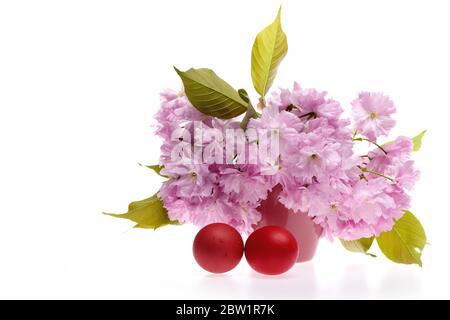 Sakura fleurit en bouquet près des oeufs rouges de Pâques isolés sur fond blanc, espace de copie. Idée de décorations de printemps Banque D'Images