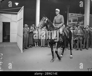 King présente la coupe d'or au champion Miller, Terry Horsman à Olympia. Le seul participant français gagne. Le Roi, qui a assisté au spectacle international du Cheval avec la Reine et les Princesses, a présenté la coupe d'or du Roi George V au Capitaine Xavier Bizard, de l'École de Cavalerie de Saumur, en France, le seul participant français, à Olympia. La coupe a été sautée par les officiers militaires de nombreuses nations. Expositions de photos, le capitaine Xavier Bizard, vainqueur de la coupe du défi Or, monté sur le « Honduras ». 24 juin 1937 Banque D'Images