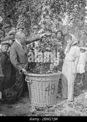 Sir Kingsley Wood, le ministre de la Santé, admirant les houblon cueillis par une fille sur les champs de Lord Walmer's Farm près de Selborne lors de sa visite des champs de houblon du Hampshire. De nouvelles réglementations concernant les ramasseurs de houblon ont été émises cette année seulement par le ministère de la Santé. 2 septembre 1937 Banque D'Images