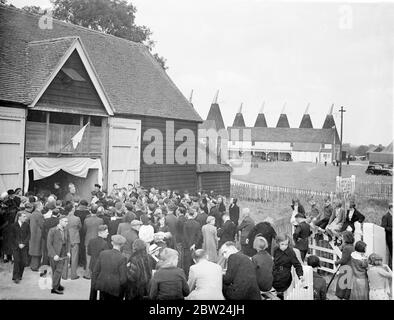 Embrasser l'anneau de l'Archevêque dans les jardins du houblon. L'archevêque de Southwark, le RT Rev P E Amigo, a fait sa visite annuelle dans les jardins du houblon de Kent aujourd'hui (dimanche) et a célébré une messe spéciale des cueilleurs de houblon à Horsmonden. Vue générale du service à Beltring, près de Paddock Wood. Oast - les maisons sont vues en arrière-plan. 4 septembre 1938 Banque D'Images