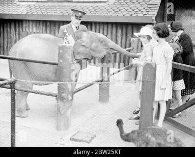 Le plus petit éléphant de bébé du zoo de Londres fait ses débuts au zoo pour enfants. Le plus petit éléphant de bébé que le zoo de Londres a eu depuis des années a fait sa première apparition dans le zoo pour enfants. Elle est venue au zoo comme cadeau du département des forêts du Gouvernement des provinces-Unis (Inde) qui a demandé que l'on lui donne le nom de 'Raj Piari', ce qui signifie 'l'aimé de l'Etat'. Son nom était Sheila. Depuis son arrivée de Calcutta il y a quelques semaines, elle vit en isolement à l'hôpital Zoo. 26 juillet 1938 Banque D'Images