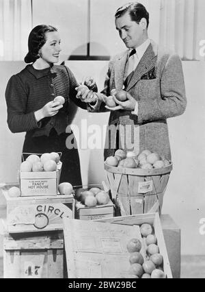 Elle voulait un avec le plus de 'quelch'. Gladys Swarthout, célèbre chanteuse d'opéra et de films, a eu l'une des demandes les plus étranges quand elle a cherché la tomate avec la chair la plus douce et la plupart 'squelch'. La tomate était nécessaire pour son nouveau film dans lequel un membre hostile de l'audience la jette dans son visage. Des centaines de tomates, ont été envoyées par avion de toutes les parties du pays à Hollywood, à l'indignation des chambres de commerce de Los Angeles et Hollywood. Expositions de photos, Gladys Swarthout avec son mari et directeur, Frank Chapman, en sélectionnant la tomate appropriée dans un envoi aérien de Miam Banque D'Images