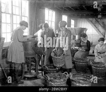 Vieux fours à houblon utilisés dans une nouvelle industrie villageoise dans le kent - UNE usine de séchage de légumes a été organisée par le ministère de l'alimentation, où les femmes sont enseignées à sécher toutes sortes de légumes en cas de cabotage au cours du printemps prochain. 2 février 1918 Banque D'Images