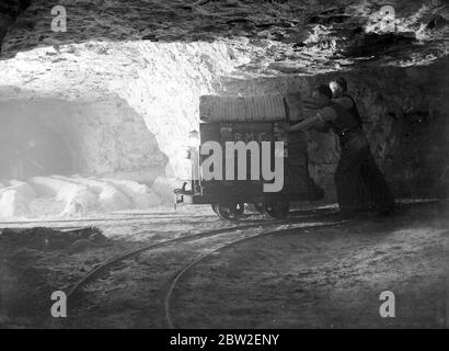 Champignons (Grottes de Chislehurst). 1934 Banque D'Images