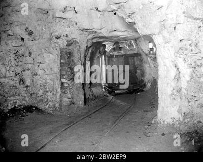 Champignons (Grottes de Chislehurst). 1934 Banque D'Images