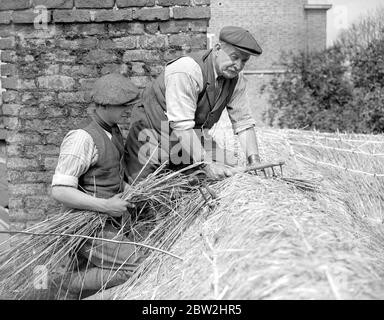 Une thatcher au travail sur le cottage de chaume de Camberwell ( M. Dent et son assistant en service ). 14 mai 1925 Banque D'Images