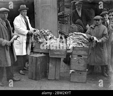 Une scène animée au coin de la peau de lapin. Smithfield Market où des milliers de peaux sont traitées - ils sont ensuite envoyés aux tanneurs et ensuite fabriqués dans le port de vêtements . 2 décembre 1929 Banque D'Images