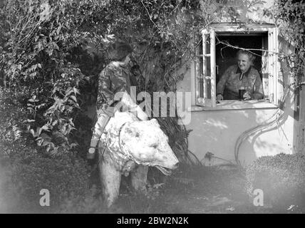 Une petite fille se promette au panneau inn de White Bear pub à Fairchildes. 1934 Banque D'Images