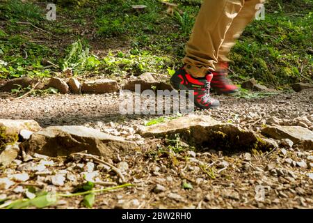 Homme jambes marchant à l'extérieur avec une paire de Merrell Red Accenteur Sport GORE-TEX Trail Chaussures Banque D'Images