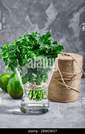Bouquet de persil frais vert dans un verre avec de l'eau sur fond gris. Verts riches en minéraux et oligo-éléments sains Banque D'Images