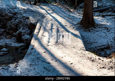 pont en bois couvert de neige dans la forêt en hiver Banque D'Images