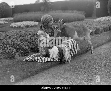 La société prend part à la masque élisabéthaine au château de Longford . La société les gens prennent part à une Masque élisabéthaine écrite par la Comtesse d'Ypres , dans les terres du château de Longford , Wiltshire , en aide à la Société des Waifs et des strays . Une fille de la société vêtue de gitane , avec sa chèvre . 21 juillet 1932 Banque D'Images