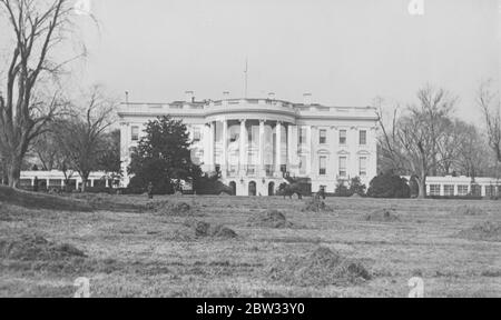 La Maison Blanche , Washington DC . 1932 Banque D'Images