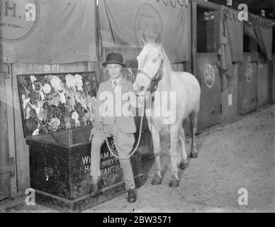 À en juger au spectacle de poney natioonal . Le salon national du poney, qui s'est tenu en liaison avec la société arabe du cheval , s'est ouvert au Agricultural Hall , Islington , Londres . Mlle Betty White tenant son entrée ' Grey Dawn ' pendant qu'il est mesuré pendant le jugement au spectacle . 4 mars 1933 Banque D'Images